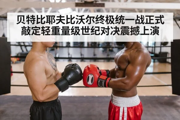 two boxers facing off